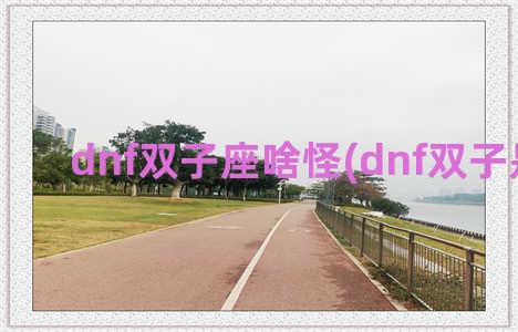 dnf双子座啥怪(dnf双子是什么)