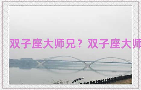 双子座大师兄？双子座大师兄头像