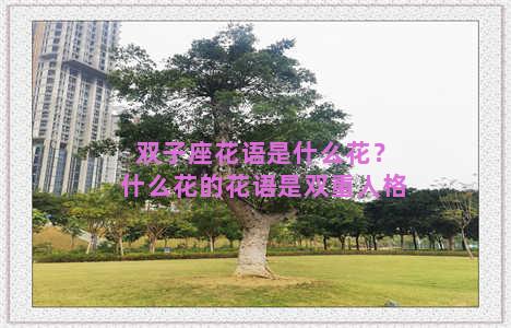 双子座花语是什么花？什么花的花语是双重人格