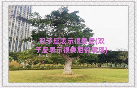 双子座表示很委屈(双子座表示很委屈的表现)